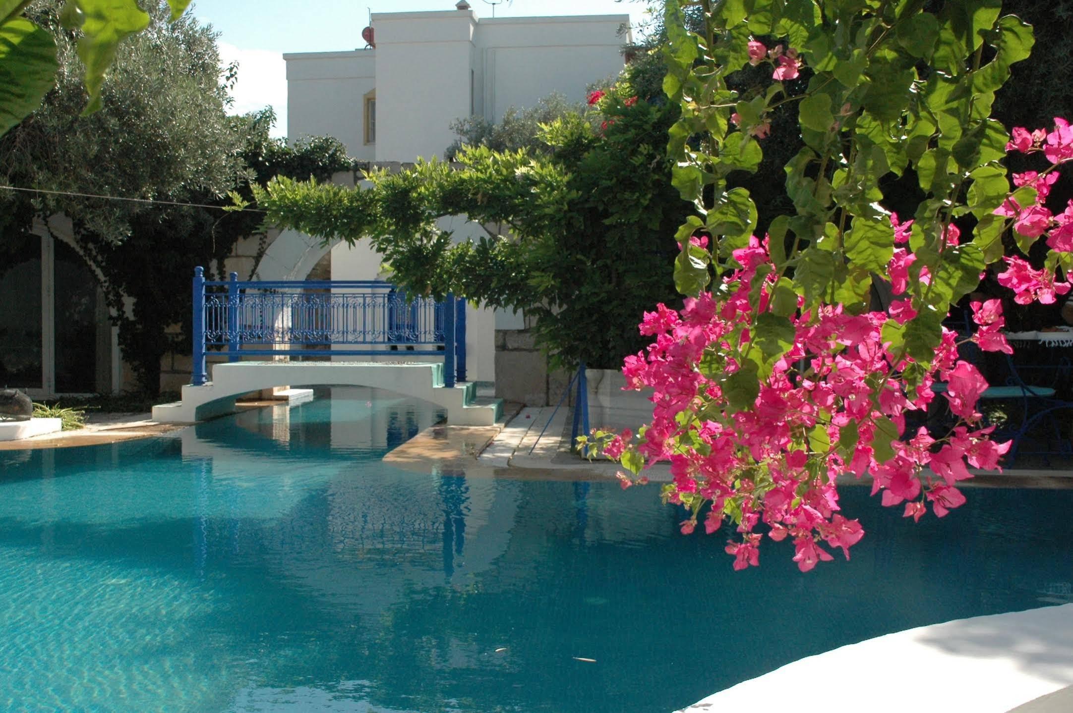 Villa Oliva Butik Hotel Konacik Exterior photo